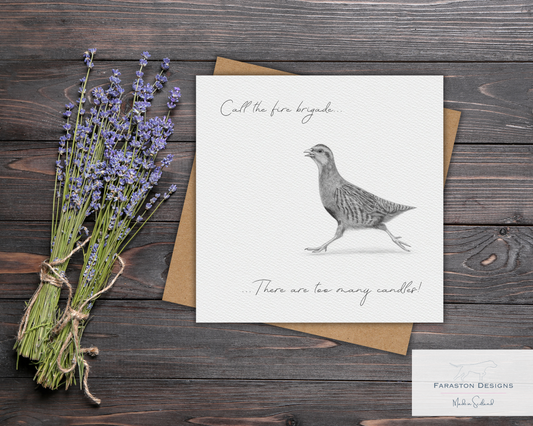 Too Many Candles! Grey Partridge Birthday Card