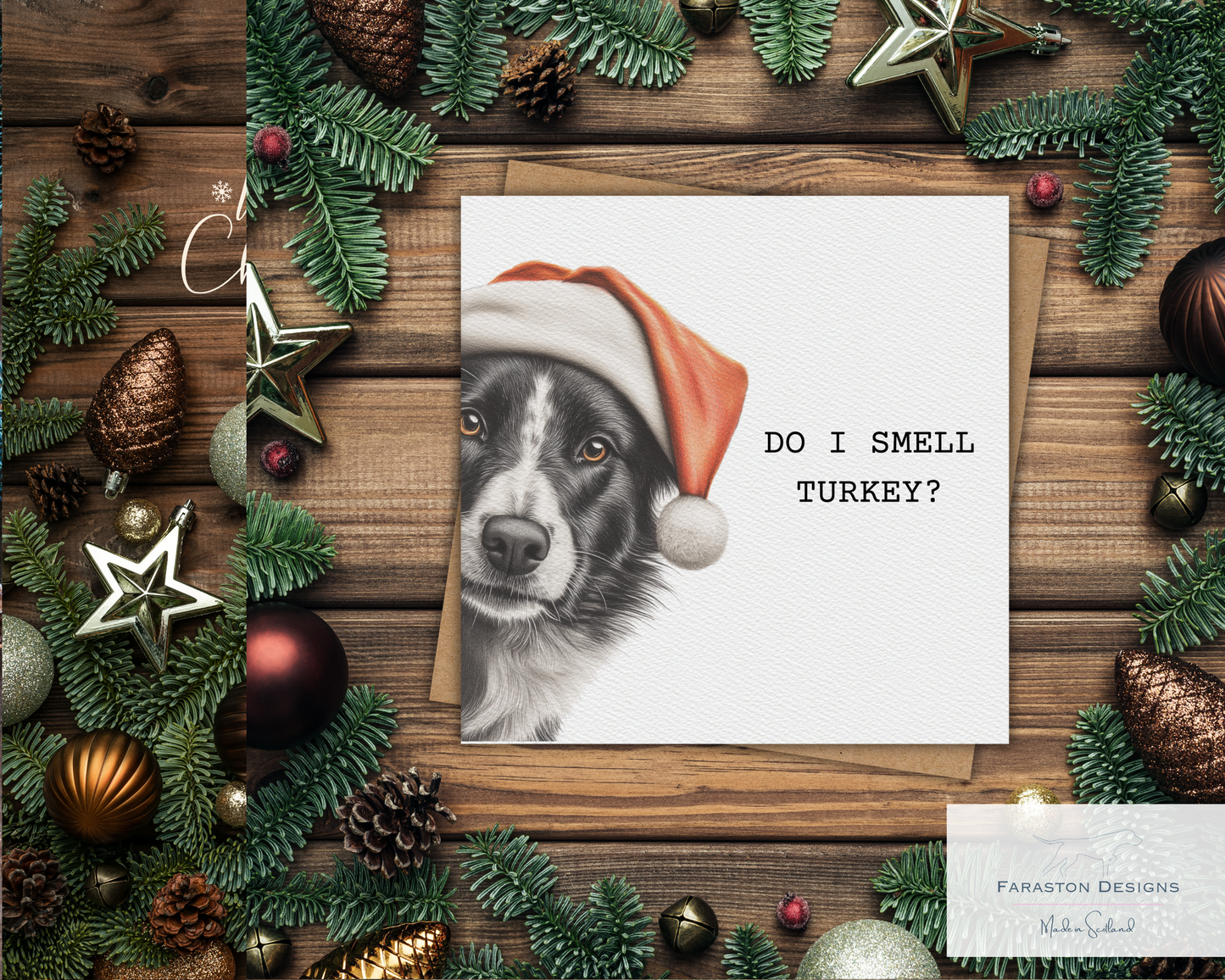 Do I Smell Turkey? Border Collie Christmas Card