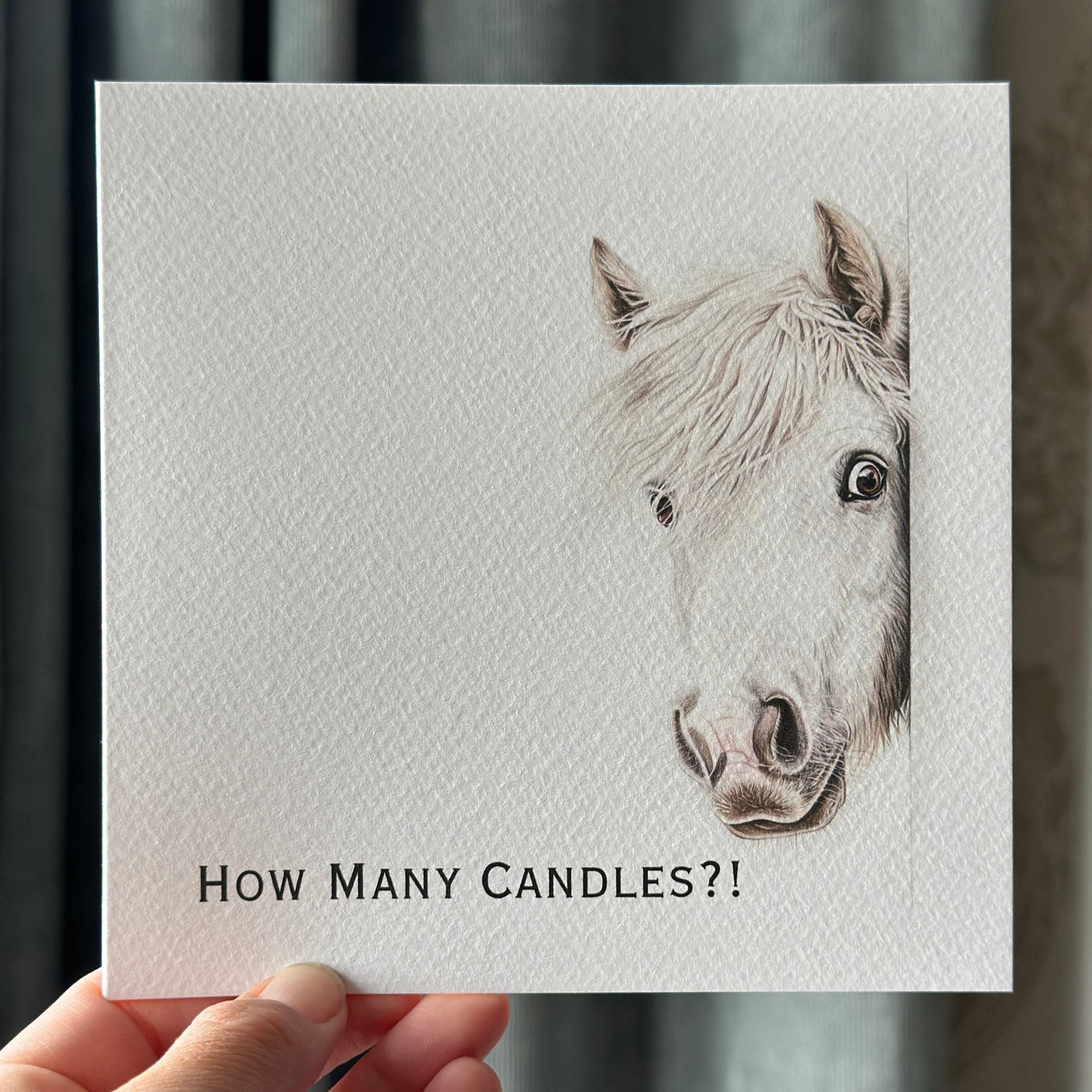 Card with a horse illustration and text 'How Many Candles?!' held by a hand.
