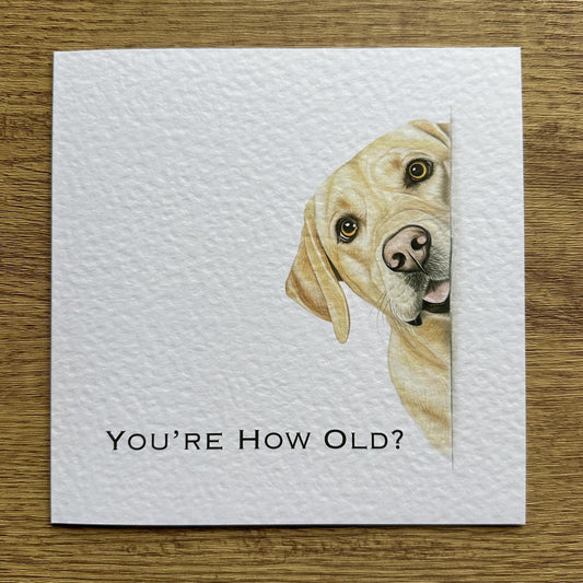 You're How Old?! Yellow Labrador Birthday Card