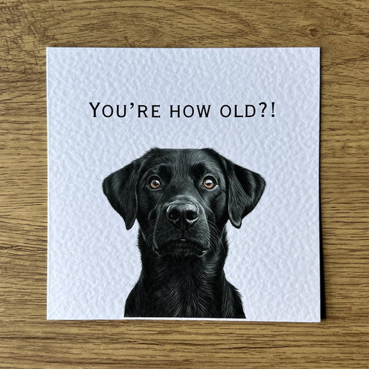 You're How Old?! - Black Labrador Birthday Card