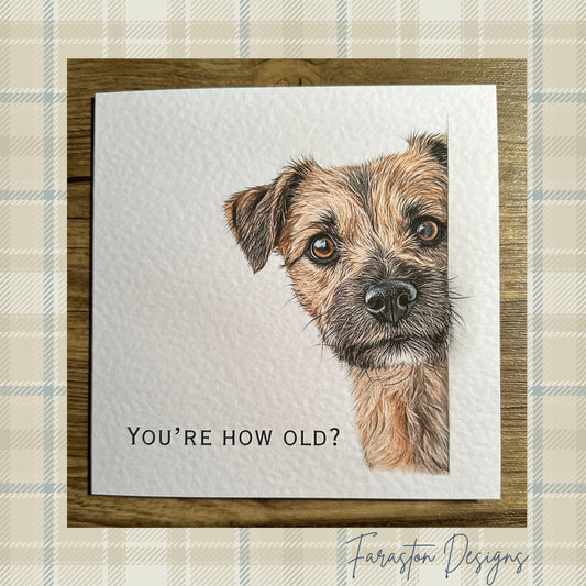 You're How Old?! Border Terrer Birthday Card