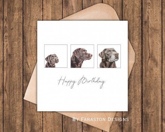 Chocolate Labrador Birthday Card