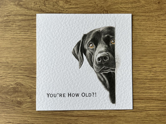 You're How Old?! Black Labrador Birthday Card