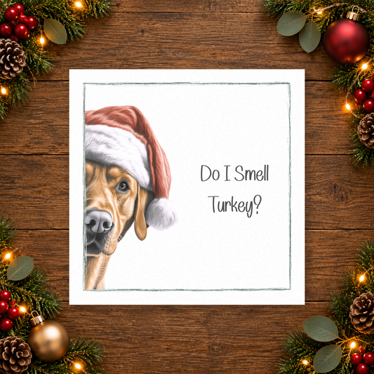 Do I Smell Turkey? Red Labrador